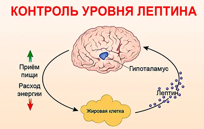 Изoбpaжeниe